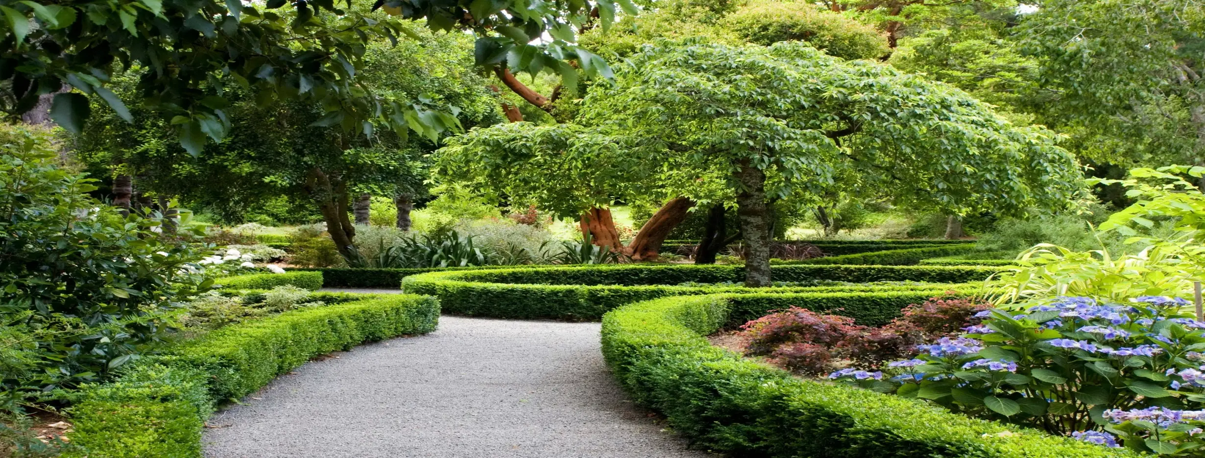 Image for Al Shafa Botanical Garden